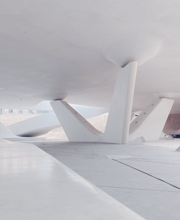 1 BancaPrivada Soluciones Distribuidora seccion007