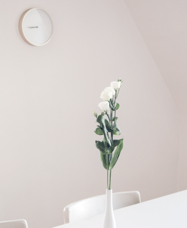 1 BancaPrivada Soluciones Distribuidora seccion008