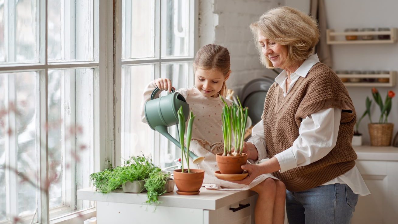 Vida Previsió 1 7fdc7be9 3318 496e a076 051ce0dcabce edited