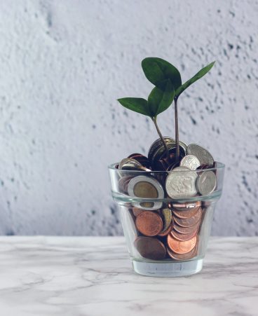 Gestió de tresoreria 11 Autonomosyempresas Gestiontesoreria Distribuidora 6