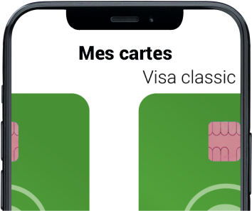 Gérer les encaissements et les paiements 5 FR mescards