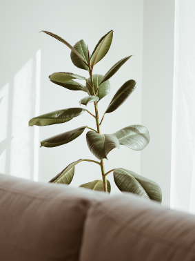 Seguros 6 faq comparador de seguros edited 3