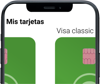 Gestió de tresoreria 5 mobile app 01