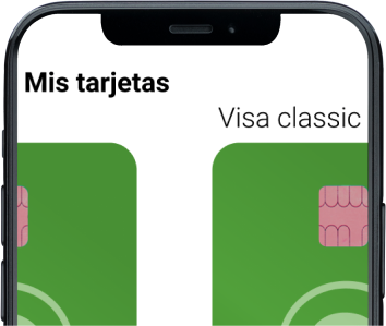 Gestió de tresoreria 7 mobile app 03